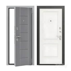 Entrance metal door bravo
